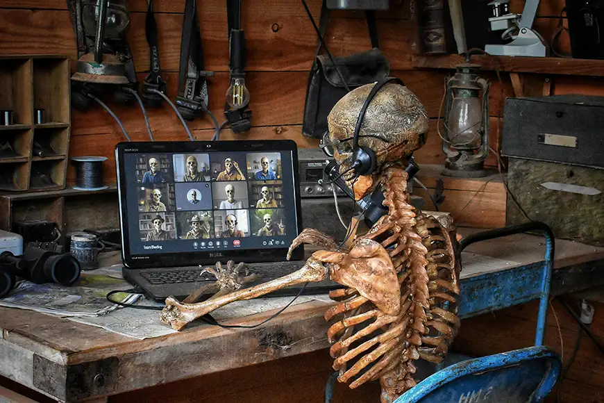 Zoom camera not working on Windows